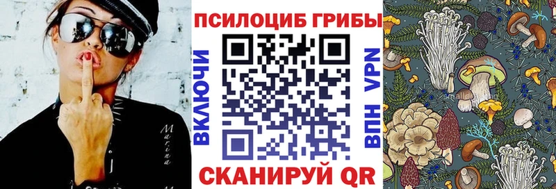 darknet официальный сайт  что такое   Ставрополь  Галлюциногенные грибы GOLDEN TEACHER 