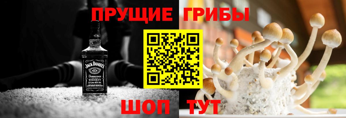 Галлюциногенные грибы ЛСД Ставрополь