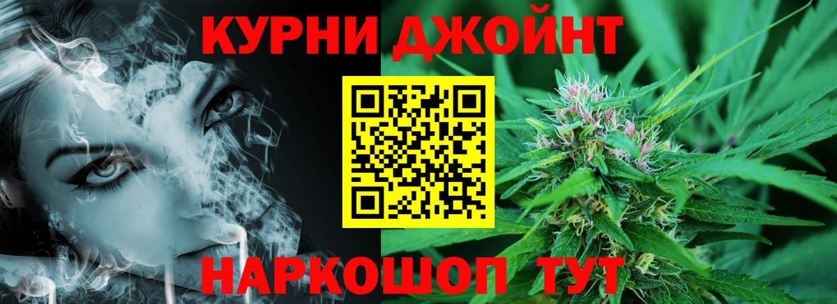 МАРИХУАНА сатива Ставрополь